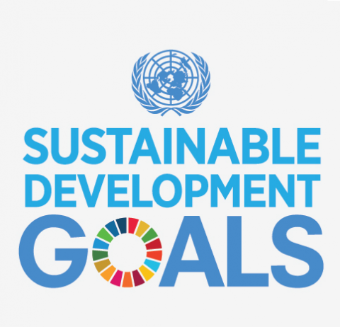 UN SDG Logo (CC)