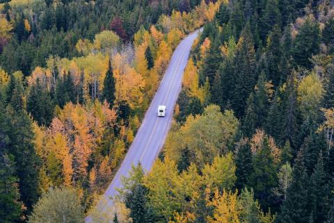 Stockphoto: A car driving down a road surrounded by trees